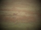 DSCF5761