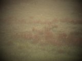 DSCF5762