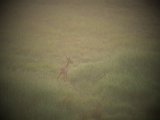 DSCF5766