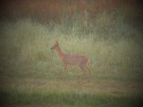 DSCF5776