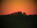 DSCF5783