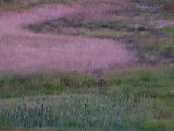 DSCF5866