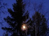 DSCF6692