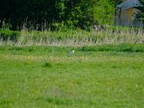 DSCF6836