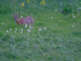 DSCF6875