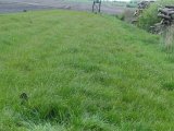 DSC01651
