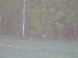 DSCF6751