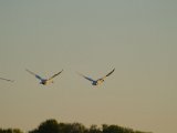 DSCF6757