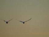 DSCF6759