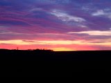 DSCF6846