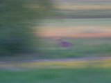 DSCF7512