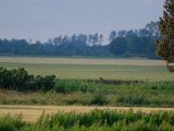 DSCF7770