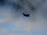 DSCF7782