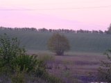 DSCF7459