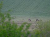 DSCF7476