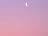 DSCF7587