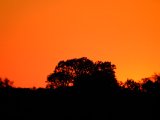 DSCF7589