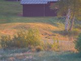 DSCF7596