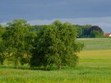 DSCF7608