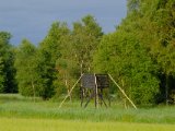 DSCF7609