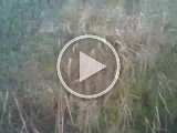 2020 1114 205713 006A