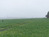 DSC02896