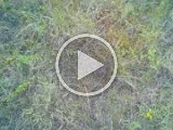 2020 0825 151752 090A