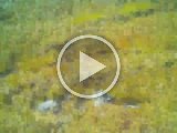 2021 0828 215158 041A