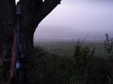DSC04144
