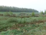 DSC04147