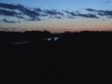 DSC05398