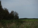 DSC05773