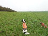 DSC05889