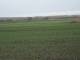 DSC07436