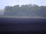 DSCF3338