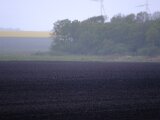 DSCF3339