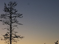 IMGP2353