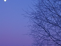 IMGP3057