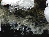 IMGP2774