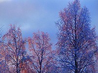 DSCF1042