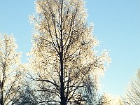 DSCF1178