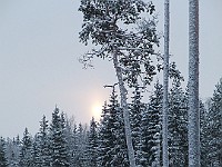 DSCF1227